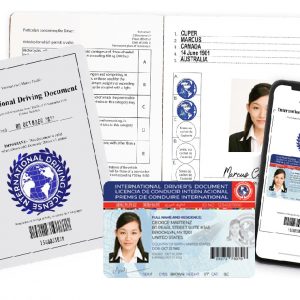 Driving Permit